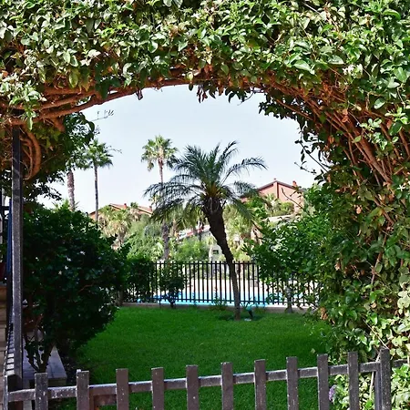 Amaranda 4* 卡塔尼亚